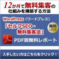 無料レポート「セルフSEO・無料集客法」12か月で無料集客の仕組みを構築する方法